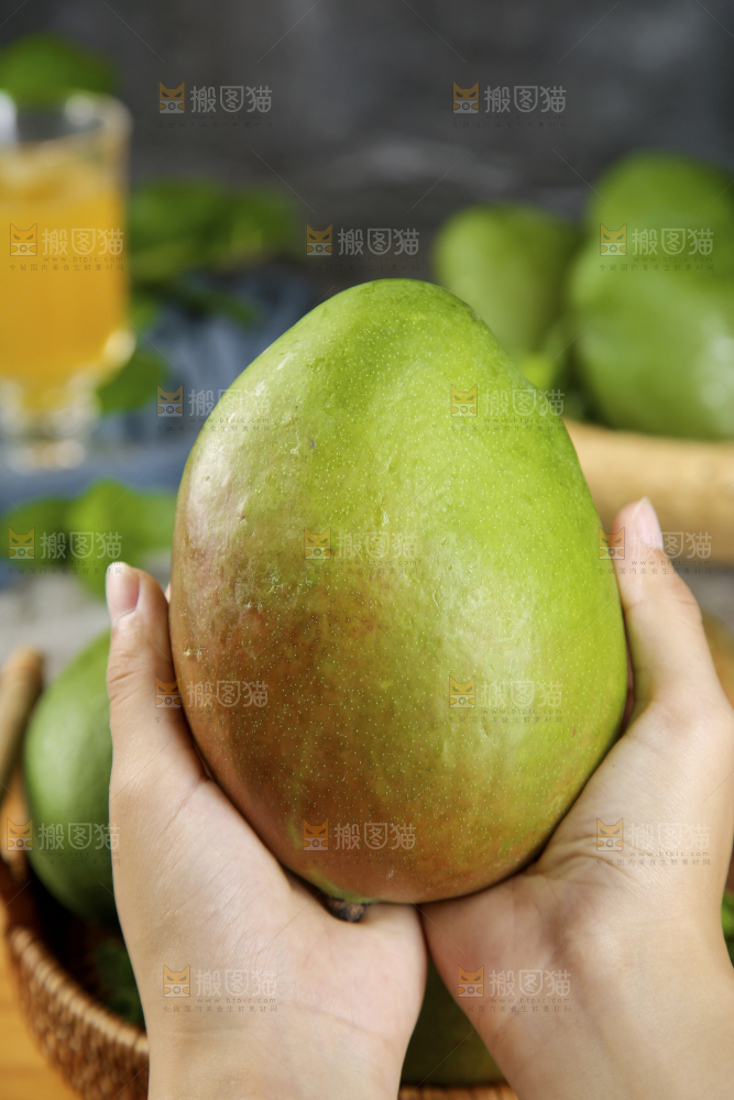 手上拿着的凯特芒
