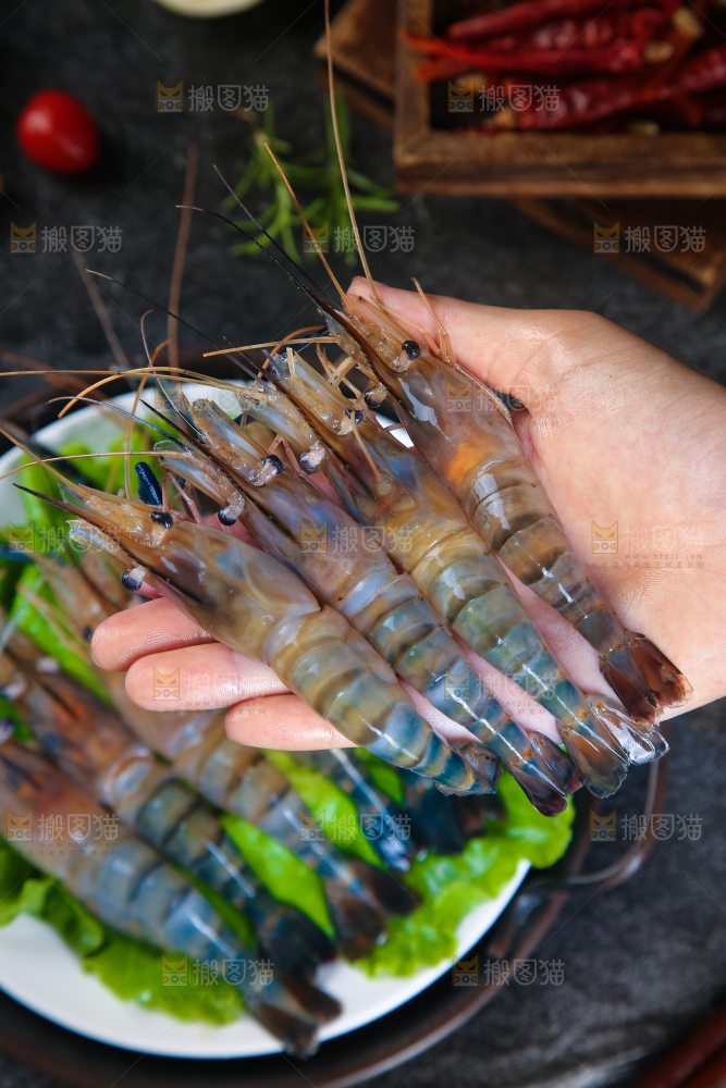 手上捧着罗氏沼虾