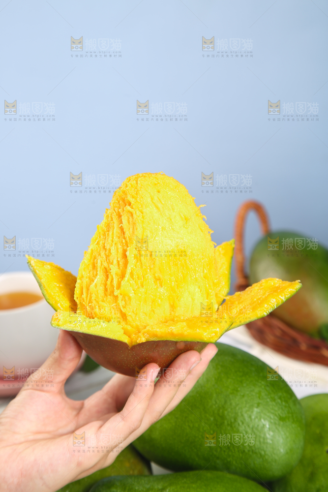 手上拿着的攀枝花凯特芒