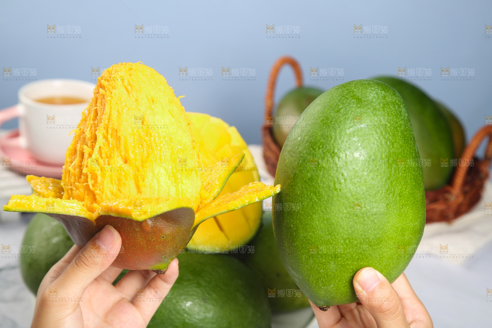 手上拿着的攀枝花凯特芒