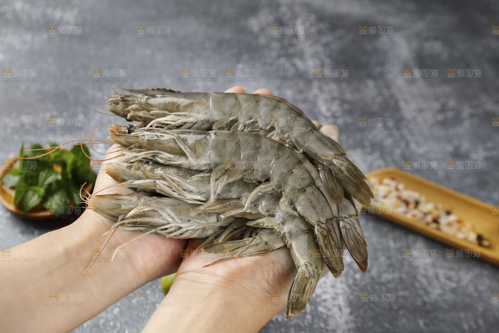 手上捧着新鲜大虾