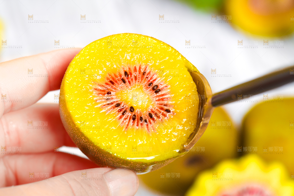 白底上的奇异果