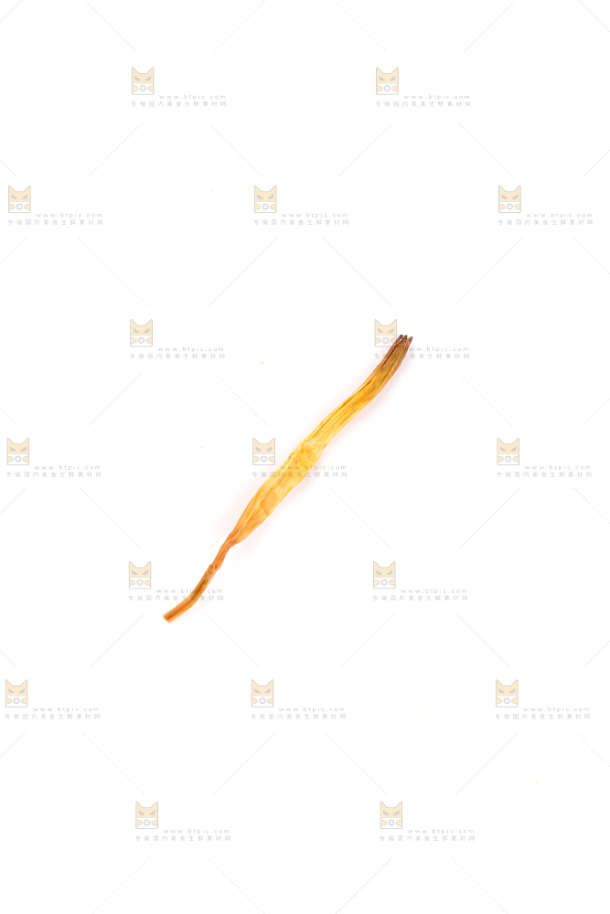 白底上的黄花菜