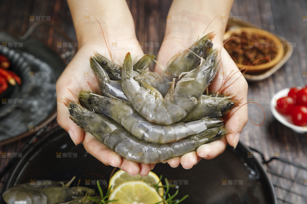 放在手上的对虾