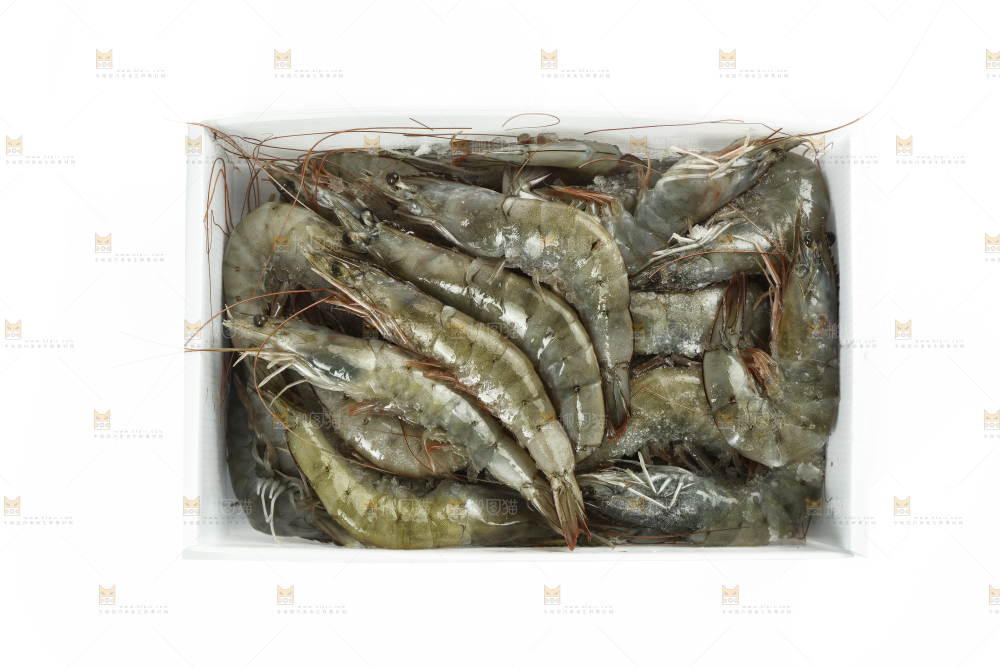 箱子里装着一堆对虾