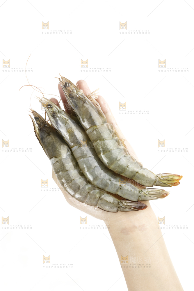 大青虾