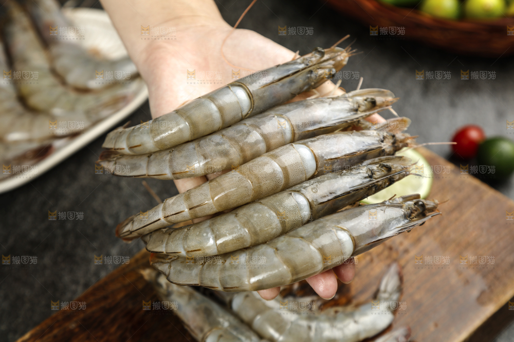 手上拿着南美虾
