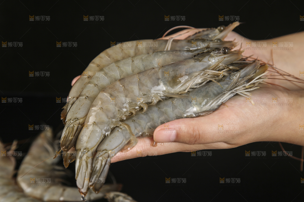 手上拿着南美对虾