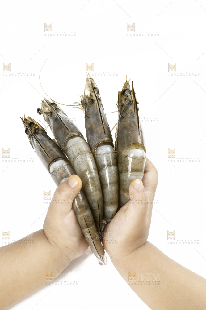 大青虾