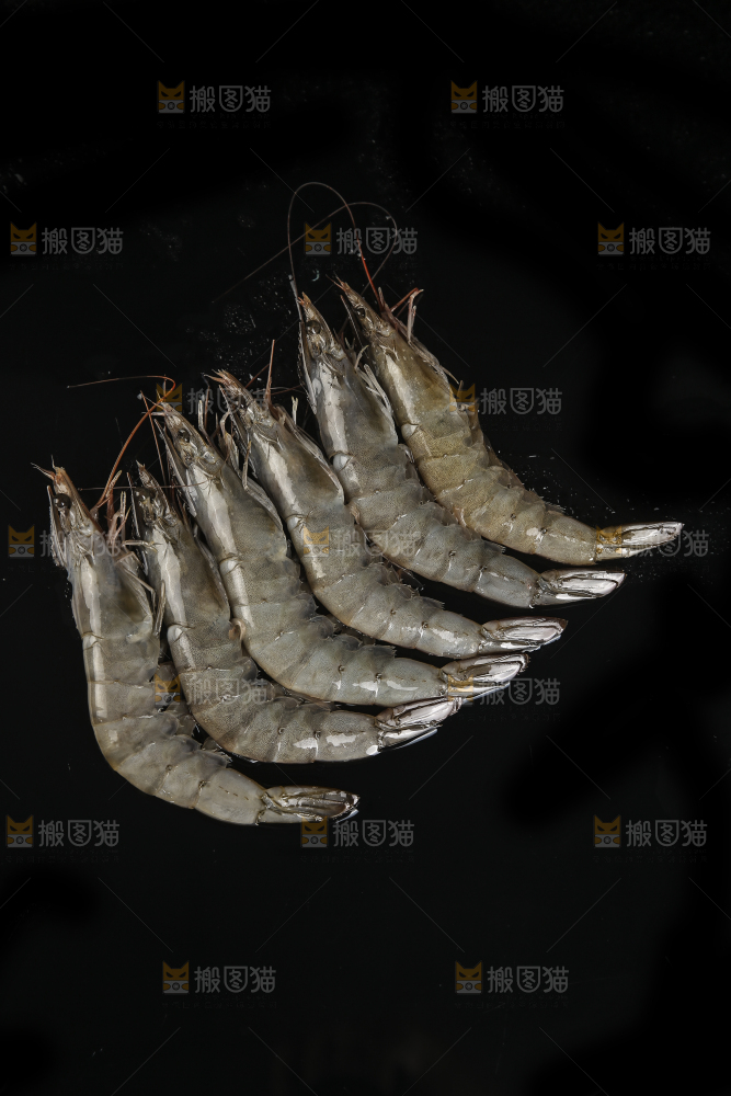黑底上放着对虾
