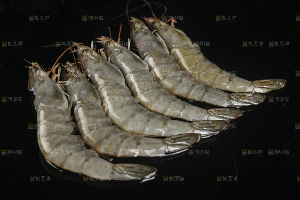 黑底上放着对虾