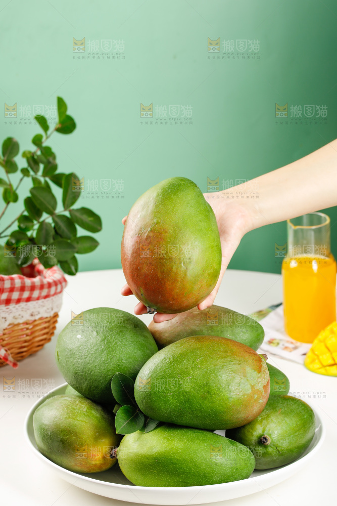 手上拿着凯特芒