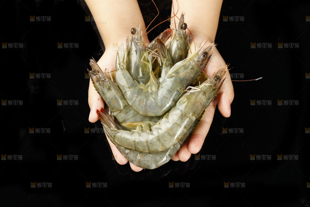 手上捧着大虾