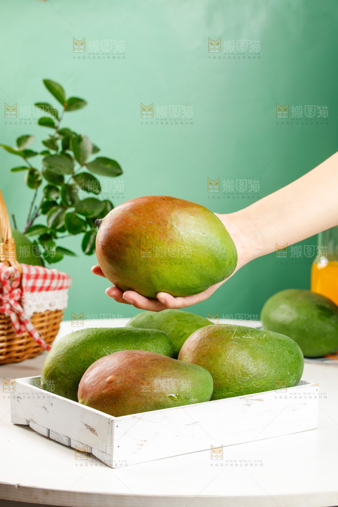 手上拿着凯特芒