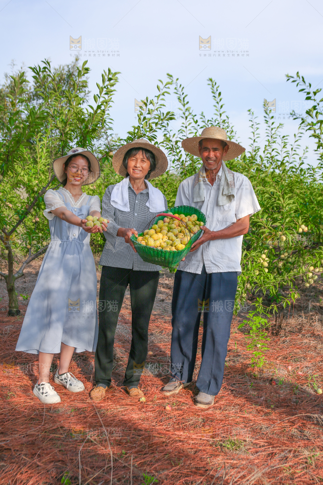 农民手上抱着一篮蜂糖李
