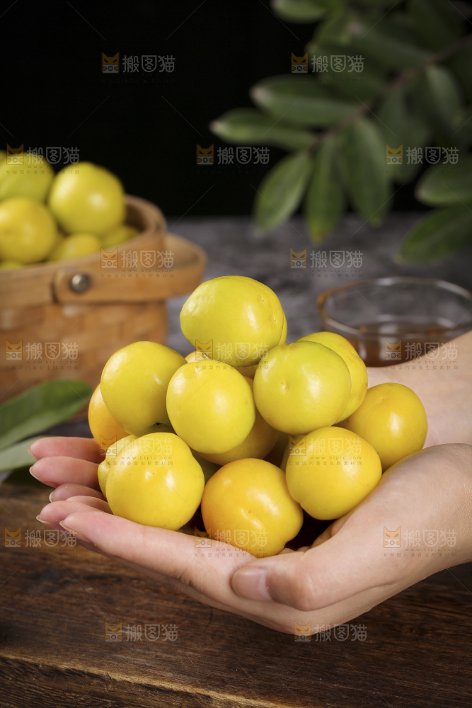 手上捧着新疆小白杏