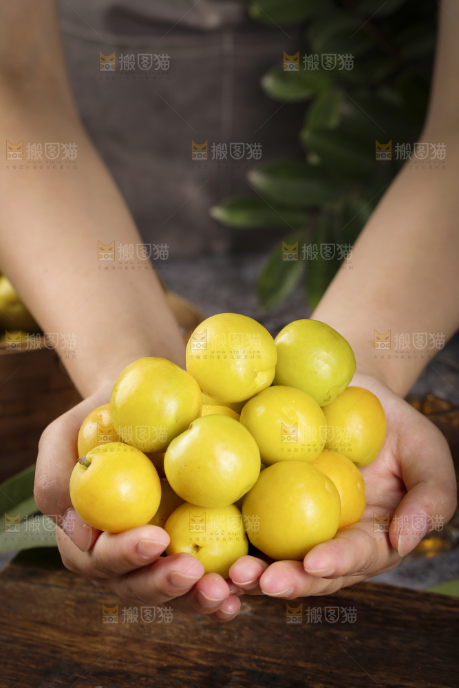 手上捧着新疆小白杏