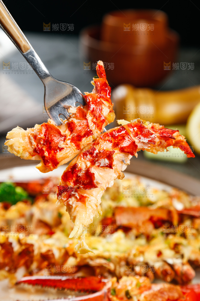 叉子上叉着波士顿龙虾肉