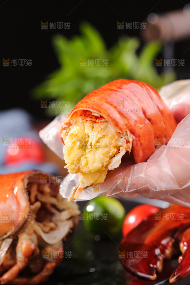 手上拿着澳洲龙虾