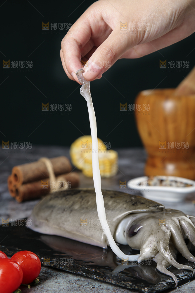 黑板上放着墨鱼