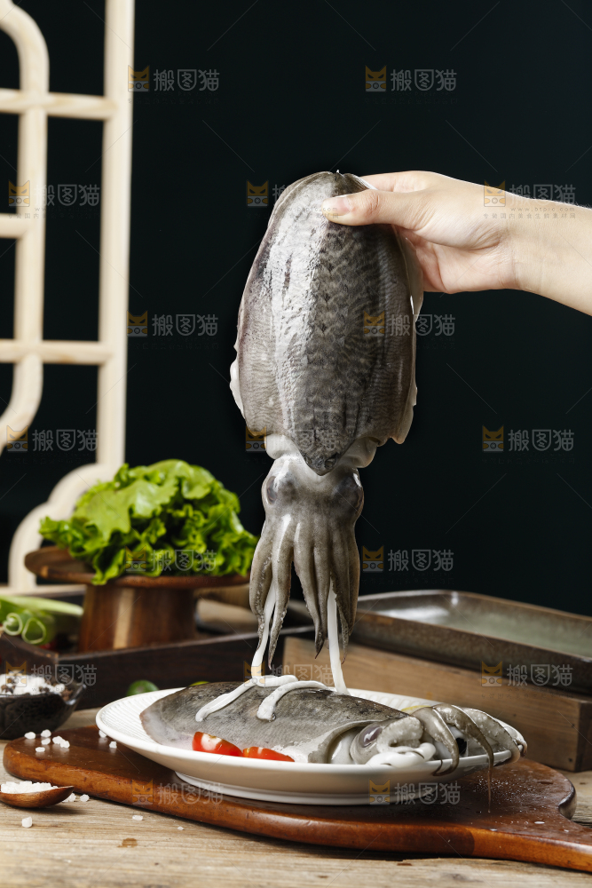 手上拿着的大墨鱼