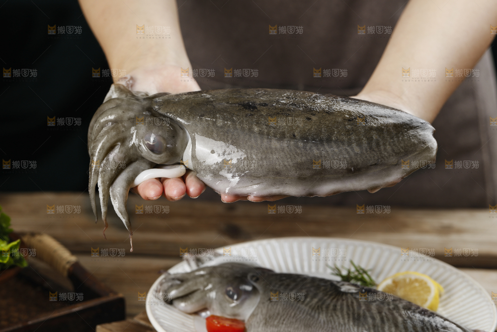 手上拿着的大墨鱼
