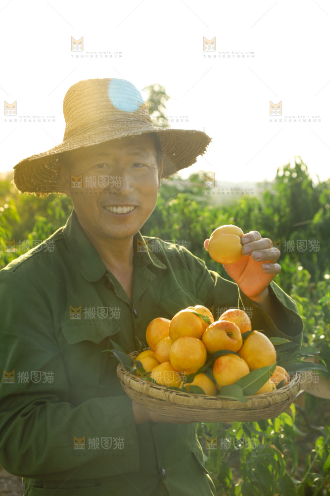 农民手上端着一筐黄油桃