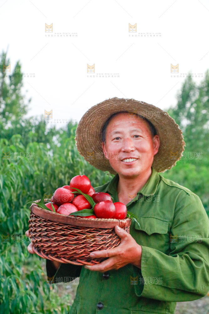 农民手上端着一筐红油桃