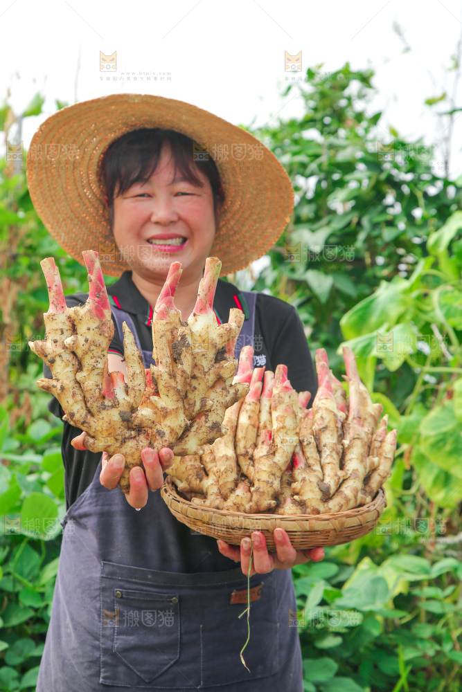 手上拿着嫩姜