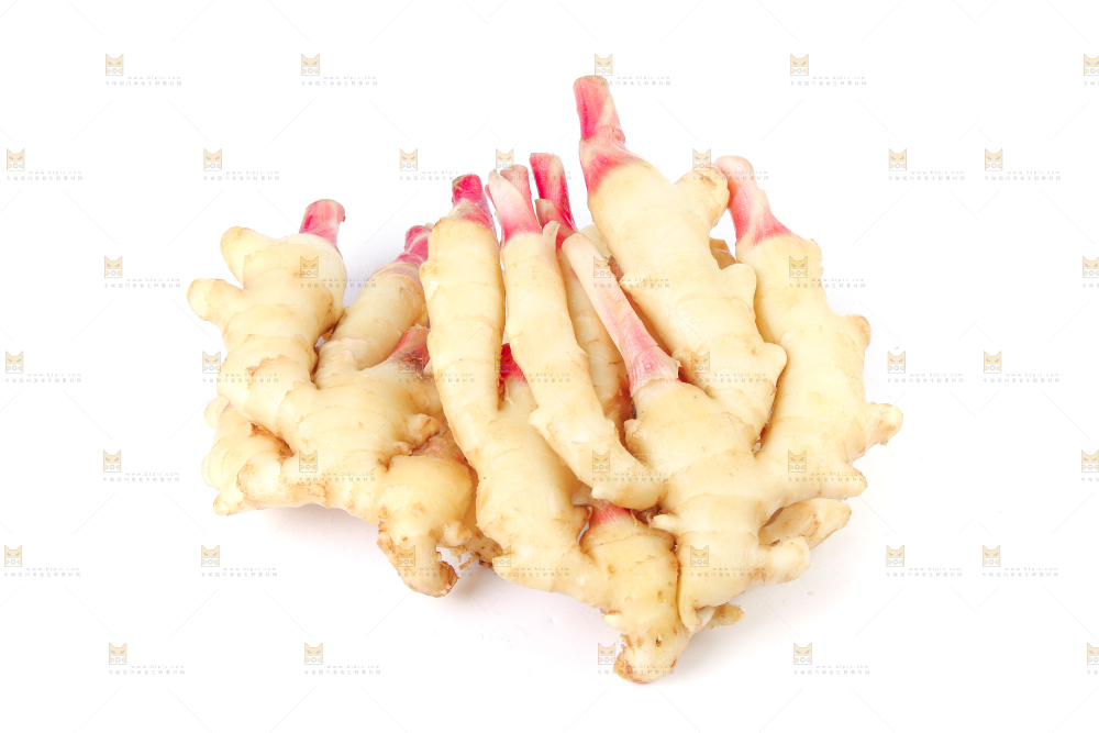 白底上放着一堆嫩姜芽