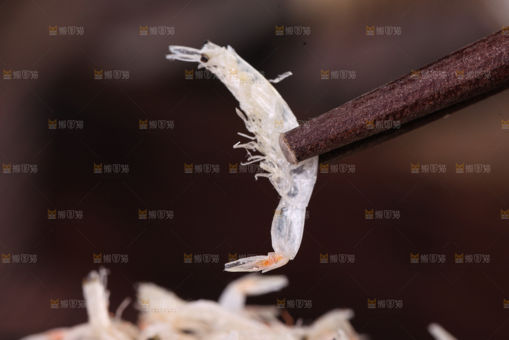 筷子上夹着的虾皮