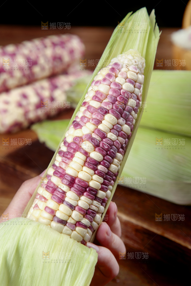 手上拿着花糯玉米