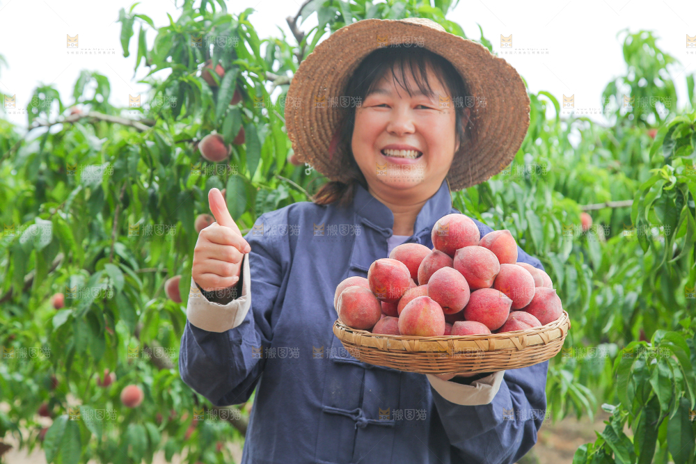 女人手上抱着一筐胭脂红桃子