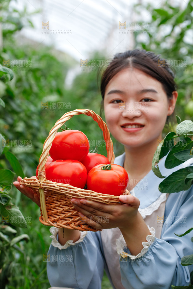 女孩手上拿着沙瓤西红柿