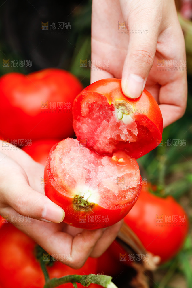 手上拿着西红柿