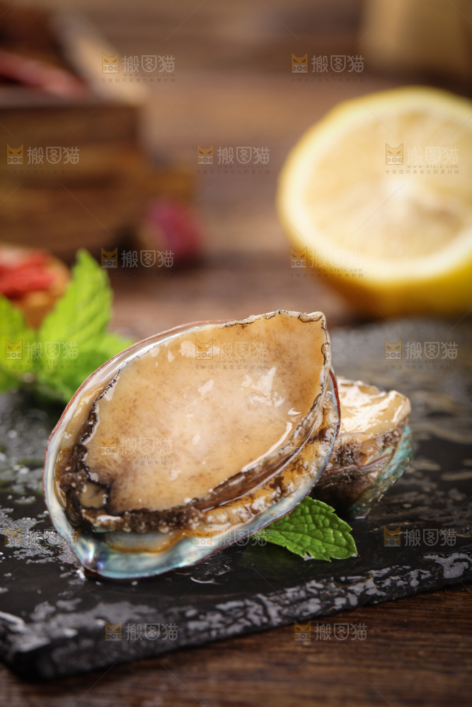 黑底上放着鲍鱼