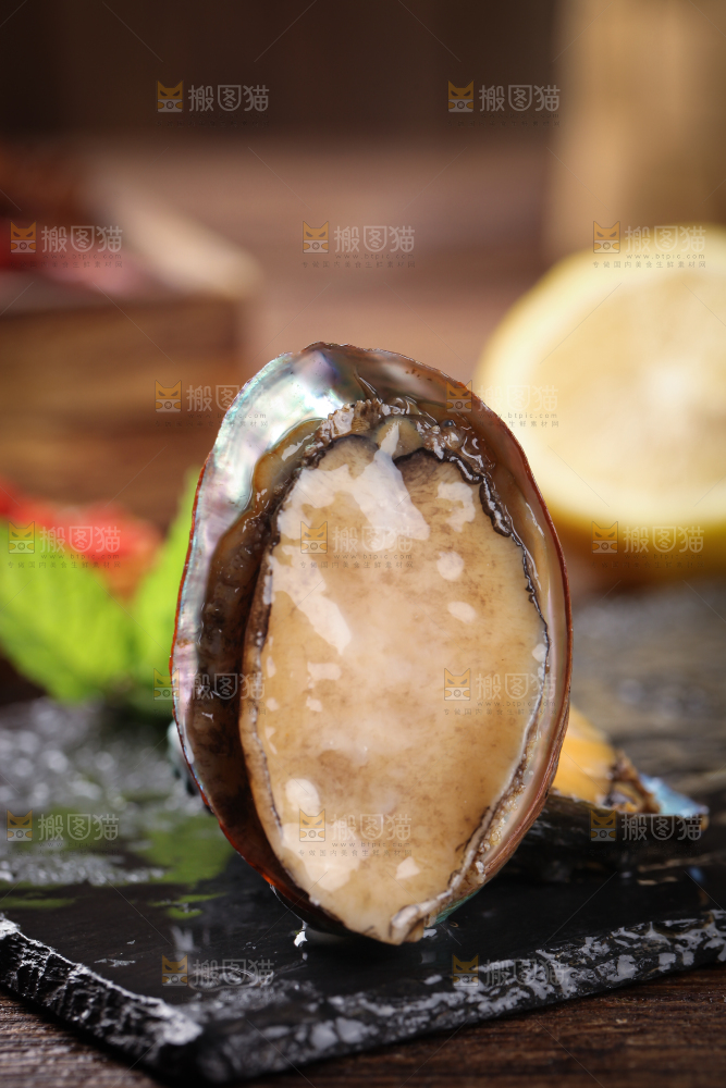 黑底上放着鲍鱼