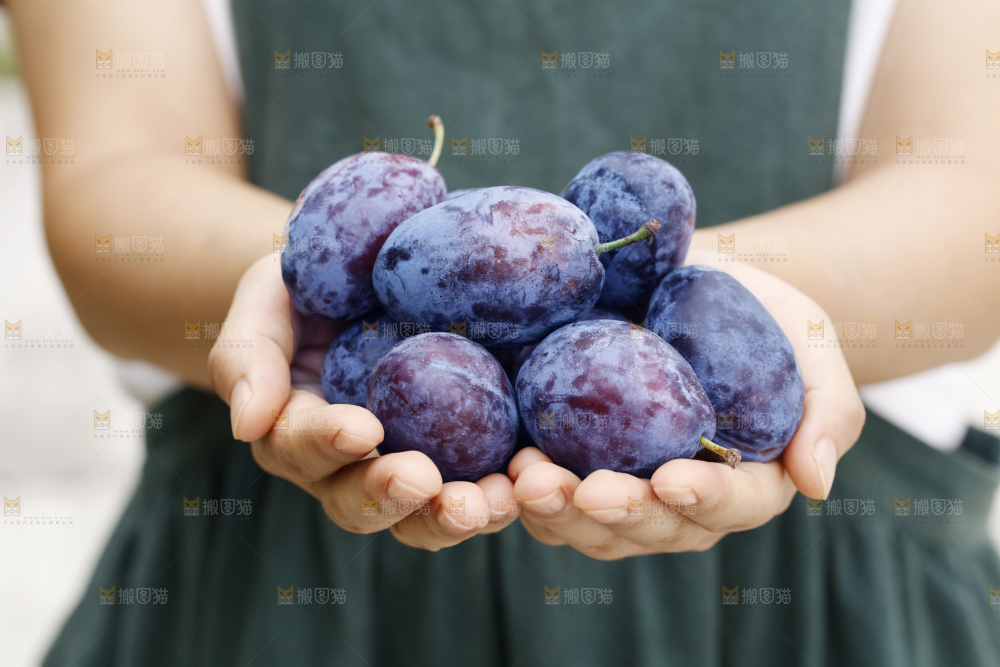 手上放着新疆大西梅