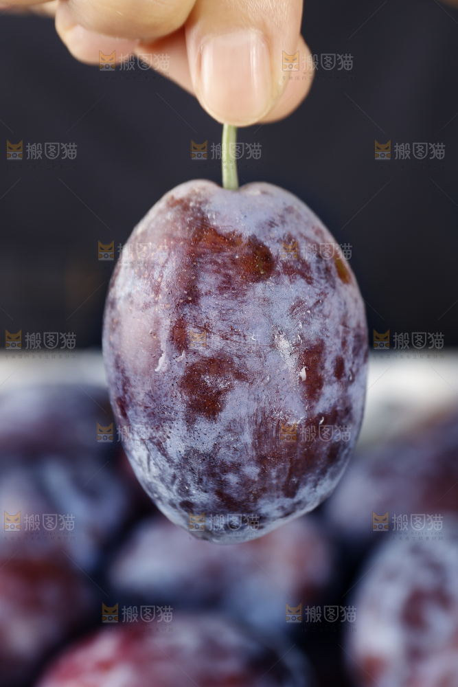 手里拿着新鲜大西梅