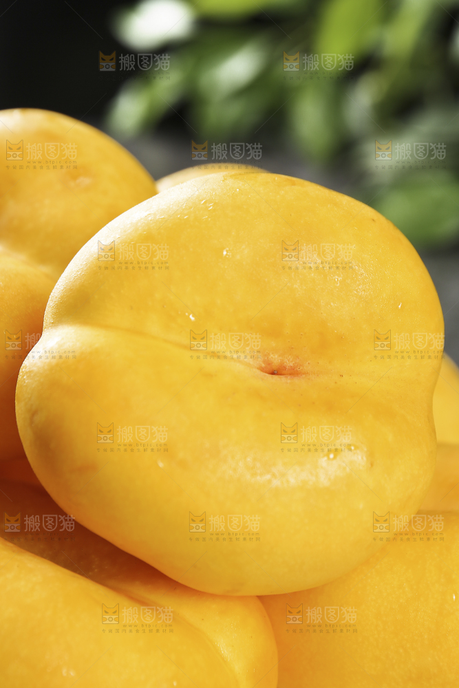黄金毛蟠桃