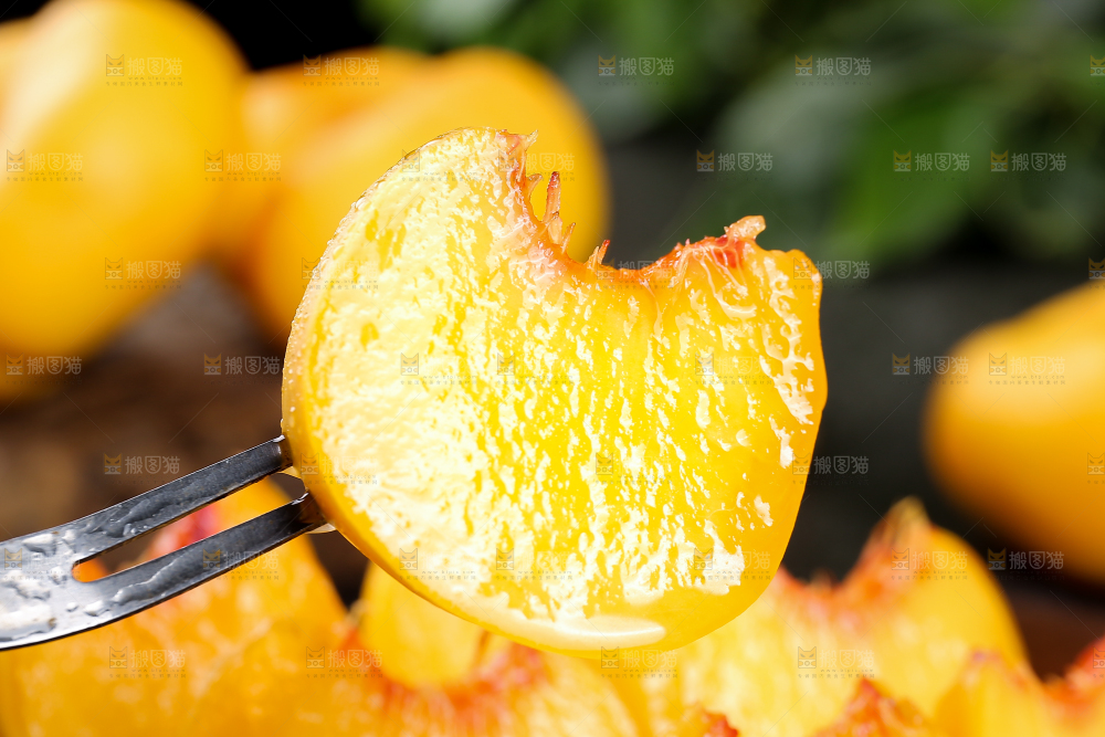 黄金毛蟠桃
