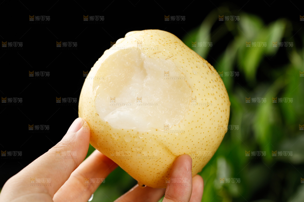 手上拿着皇冠梨