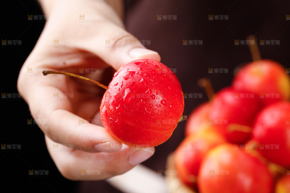 手上拿着东北海棠果