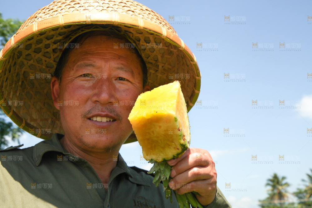 农民手上拿着削皮的凤梨