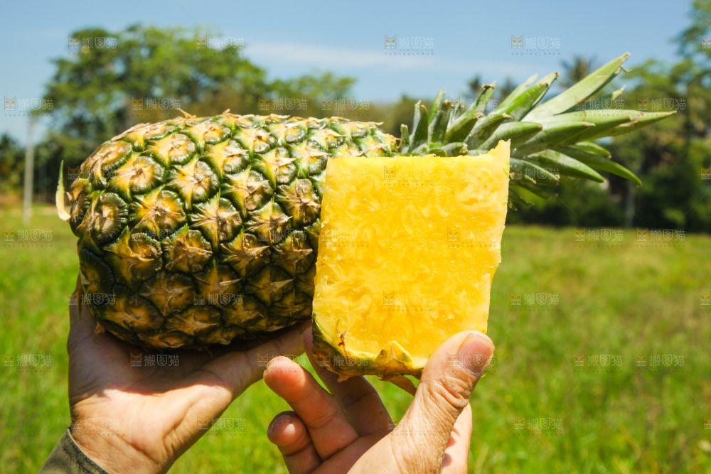 手上拿着削皮的凤梨