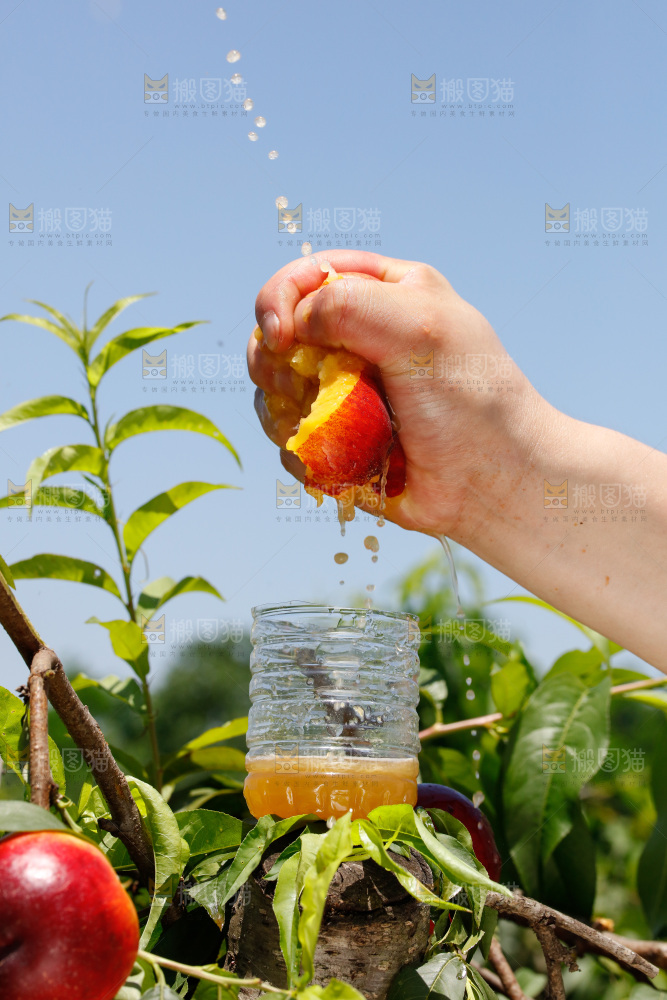 手里爆汁的黄心油桃