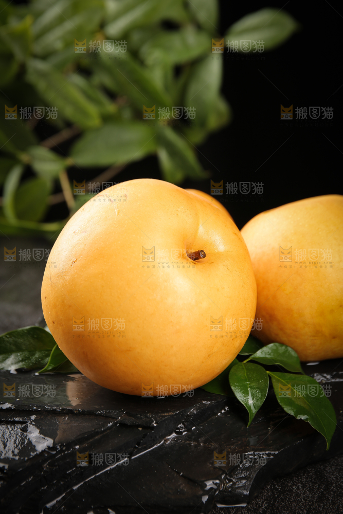 黑底上放着秋月梨