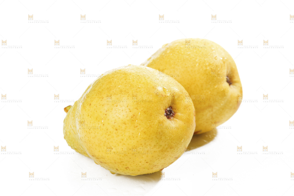 白底上的太婆梨