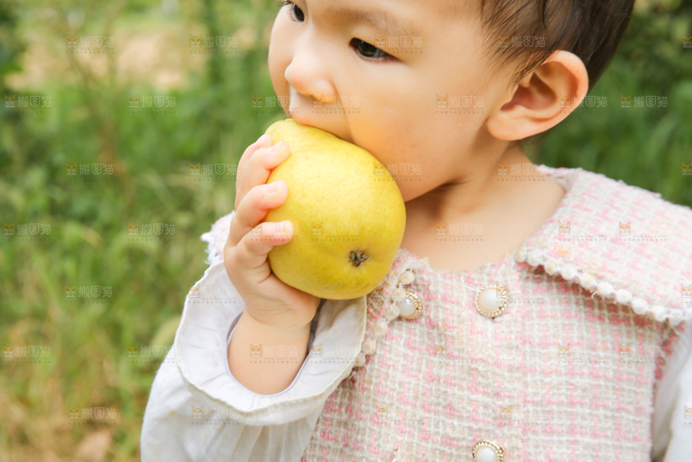 小孩正吃着太婆梨