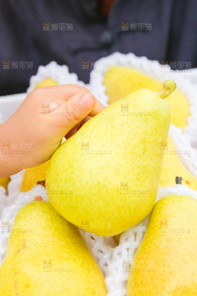 手里拿着烟台太婆梨